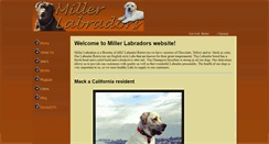 Desktop Screenshot of millerlabradors.com